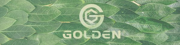 logo golden esterillas