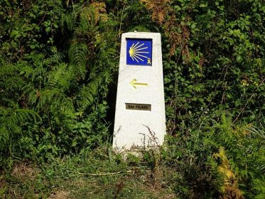 LA RUTA DE LA LANA-EL CAMINO DE SANTIAGO